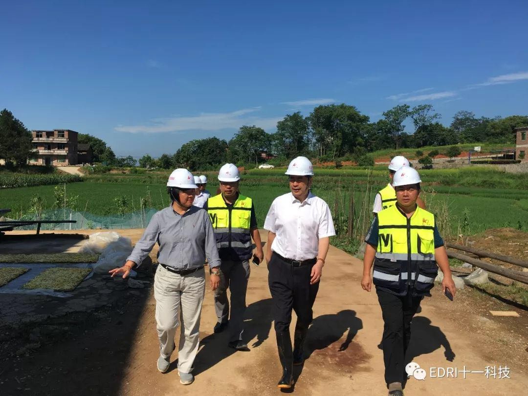 1530153138996072.jpg 3.jpg