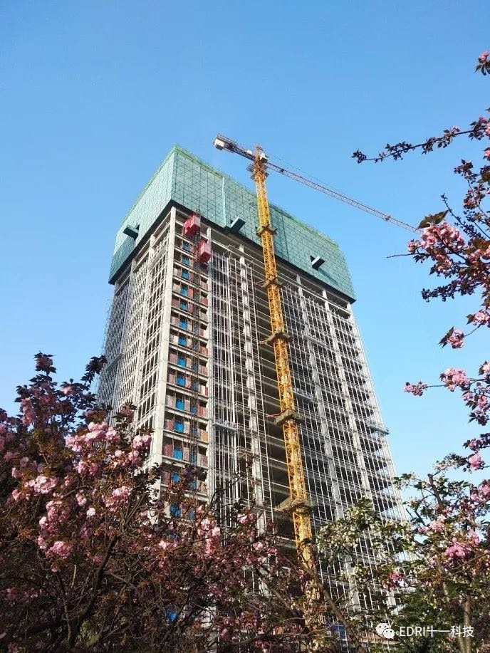 1554255614962196.jpg 2.jpg